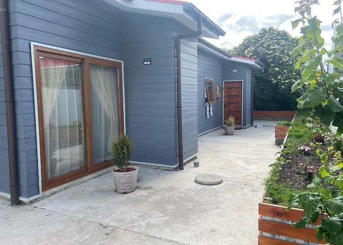 Cabanas Bosque Austral
