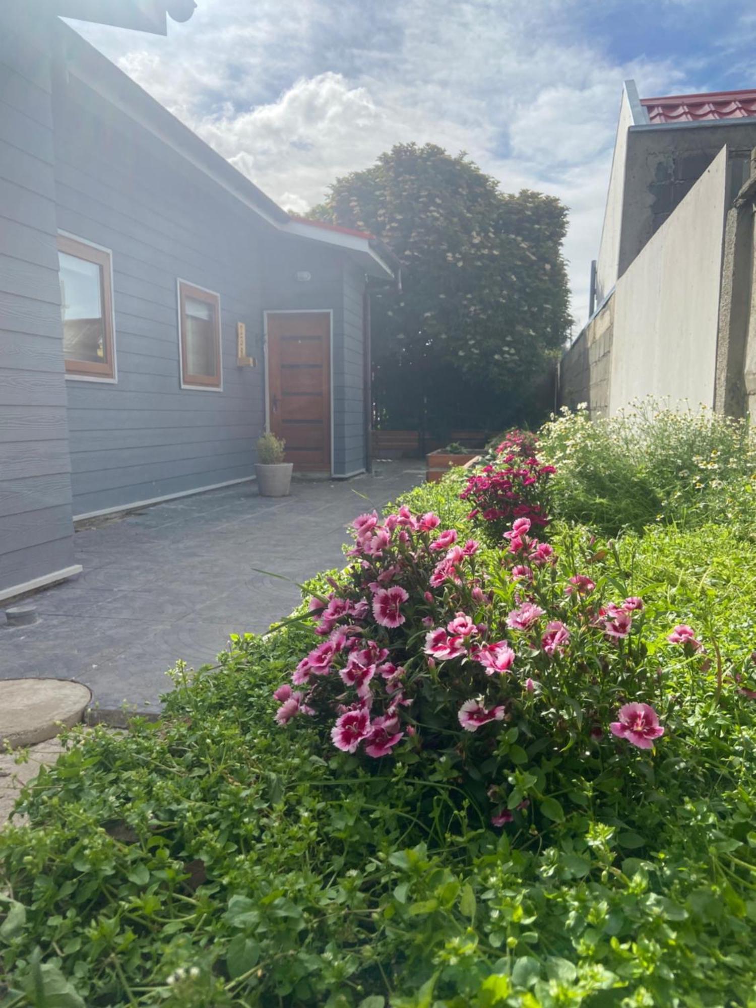Apartamento Bosque Austral Punta Arenas